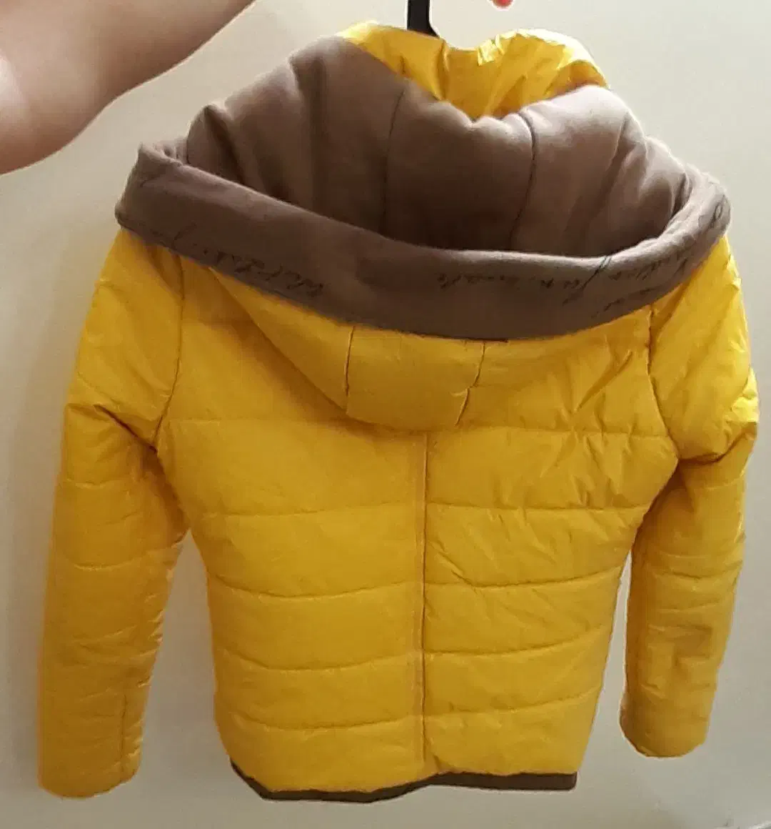 کاپشن اورجینال|لباس|تهران, زرکش|دیوار