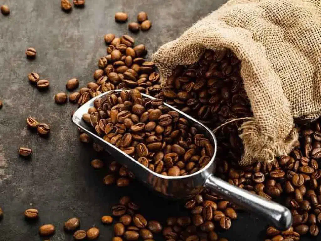 واردات و ترخیص دان قهوه از گمرک|خدمات حمل و نقل|تهران, بازار|دیوار