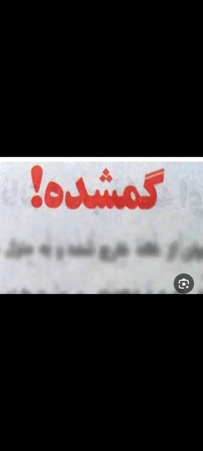 گم شده|اشیا|شاهین‌شهر, طالقانی|دیوار