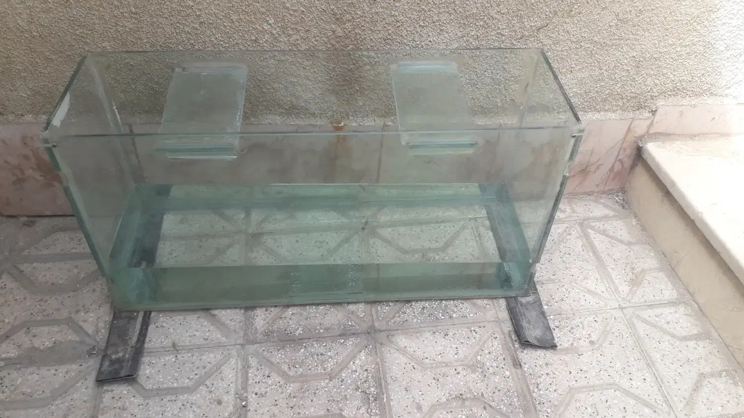 آگواریوم|ماهی|مشهد, شهید آوینی|دیوار