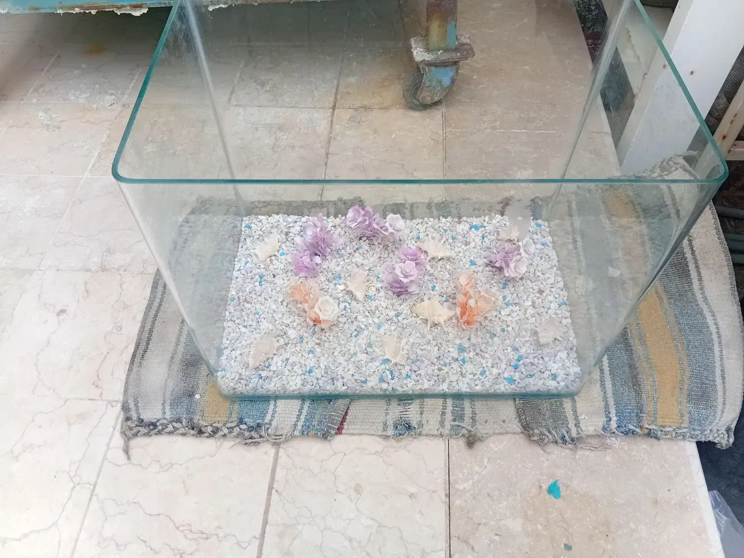 آکواریوم|ماهی|یزد, |دیوار