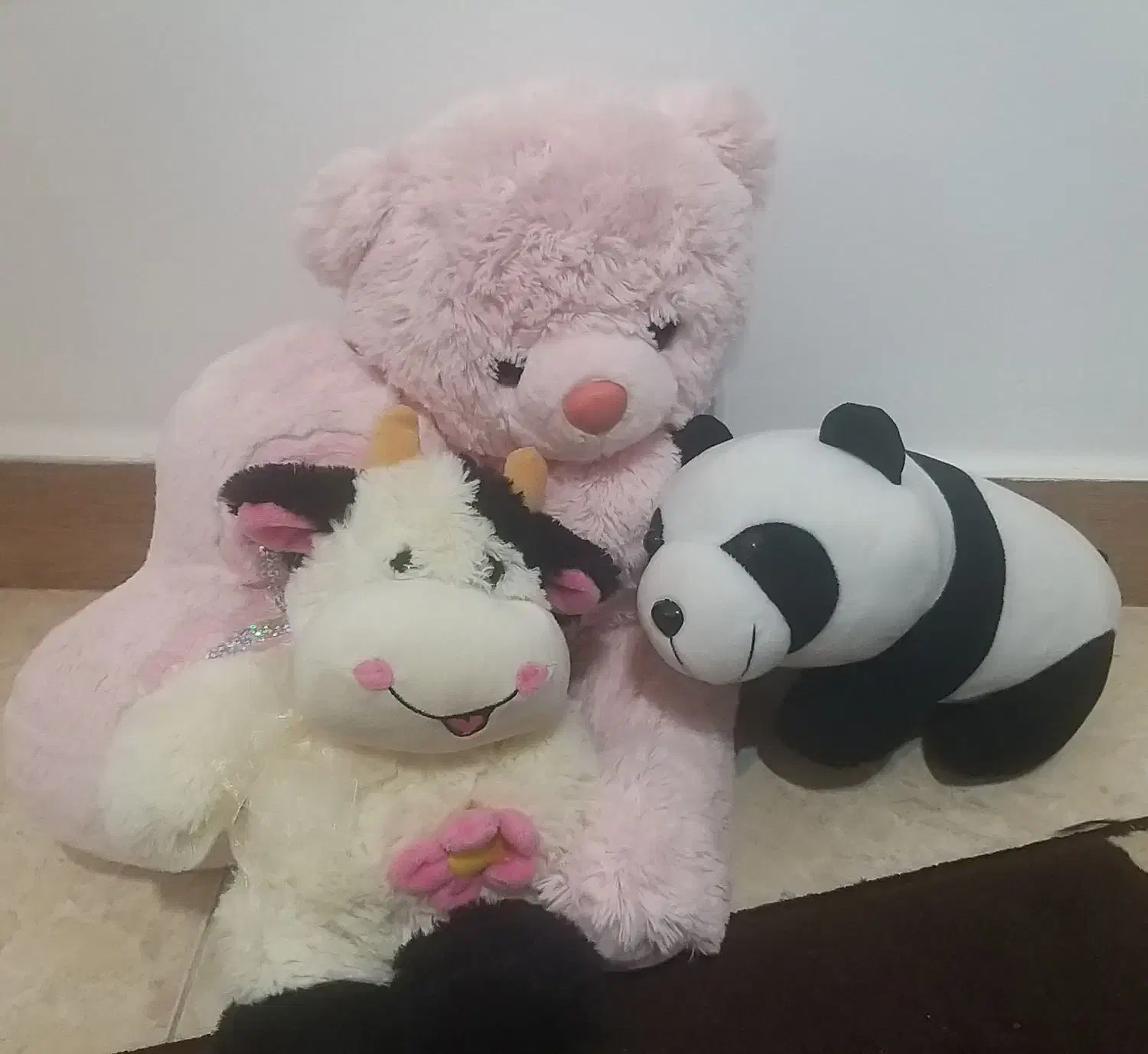 عروسک|اسباب‌‌بازی|صومعه‌سرا, |دیوار