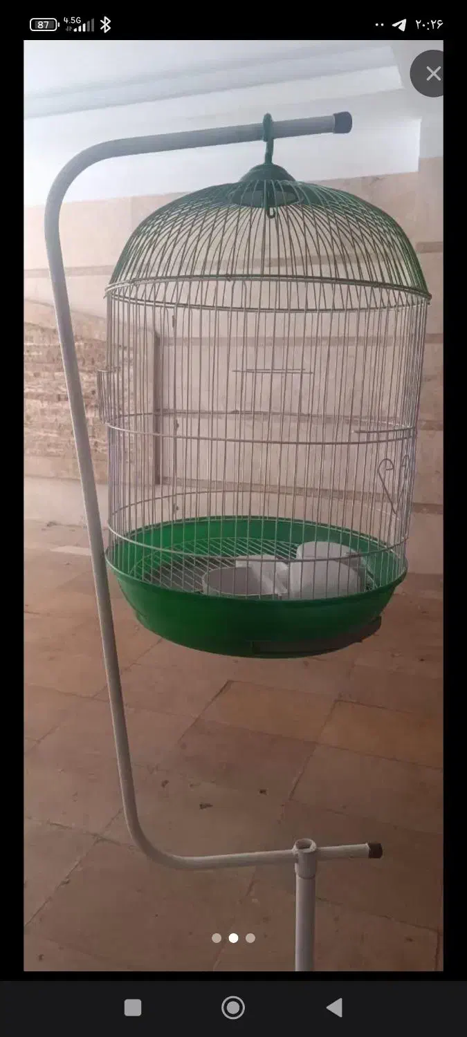 قفس پرنده|لوازم جانبی حیوانات|شاهرود (اردبیل), |دیوار