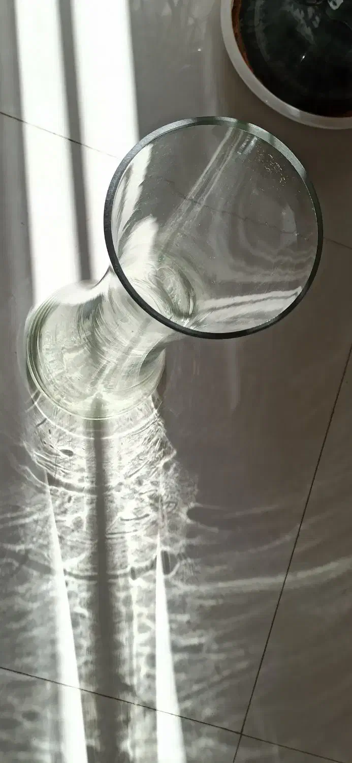 گلدان شیشه ای بلند|گل و گیاه طبیعی|شاهین‌شهر, فردوسی|دیوار