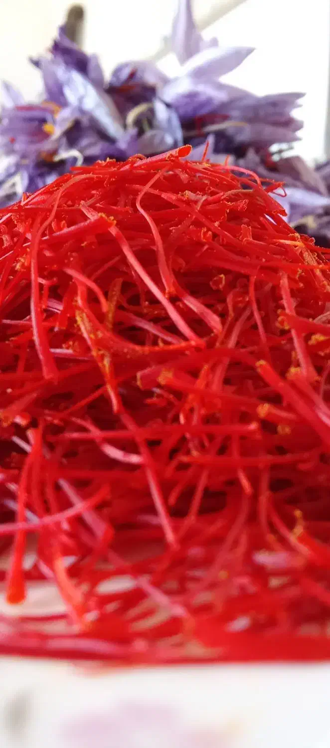 زعفران درجه یک قاینات|خوردنی و آشامیدنی|شیراز, شهرک مهدیه|دیوار