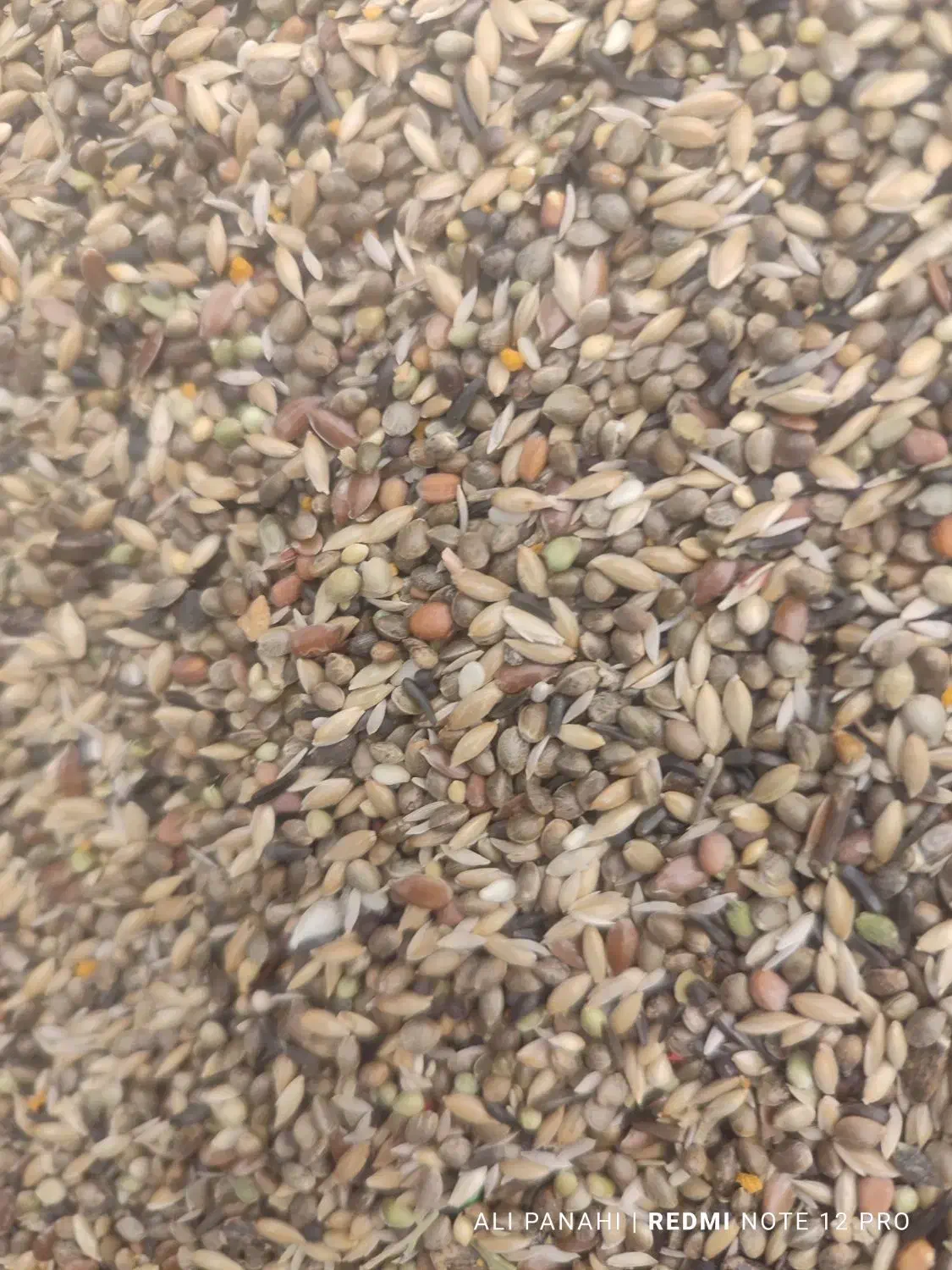 مخلوط سهره|لوازم جانبی حیوانات|سمیرم, |دیوار