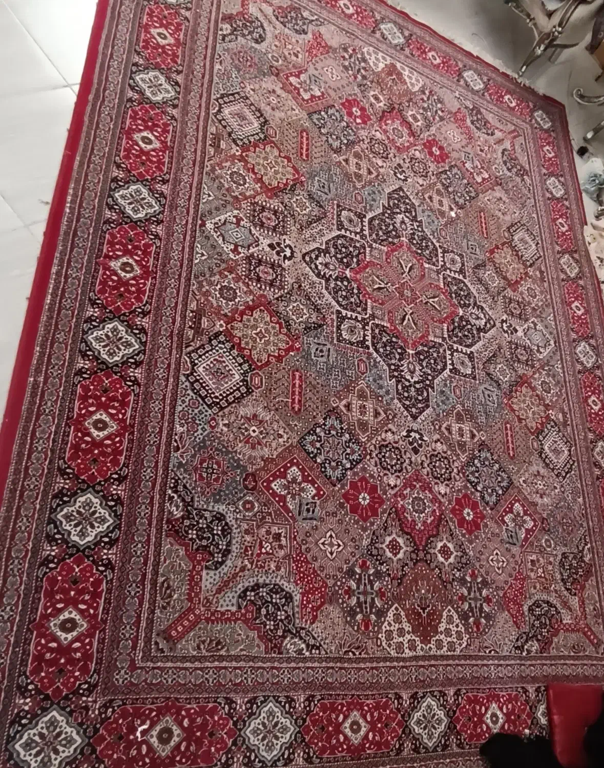 فرش|فرش|سبزوار, توحیدشهر|دیوار