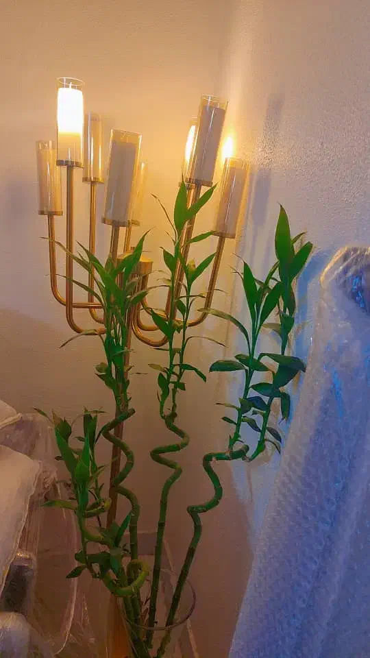 لوستر|لوستر و چراغ آویز|تهران, تهرانپارس غربی|دیوار