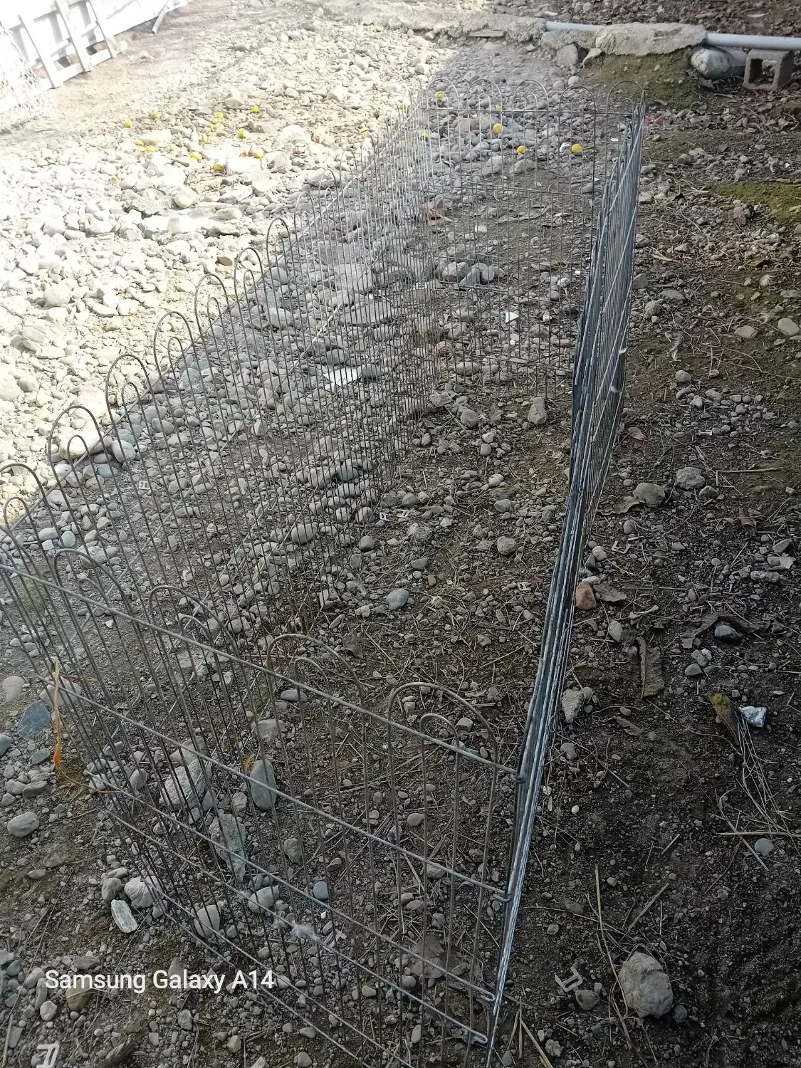 پارک سگ|لوازم جانبی حیوانات|صومعهسرا, |دیوار