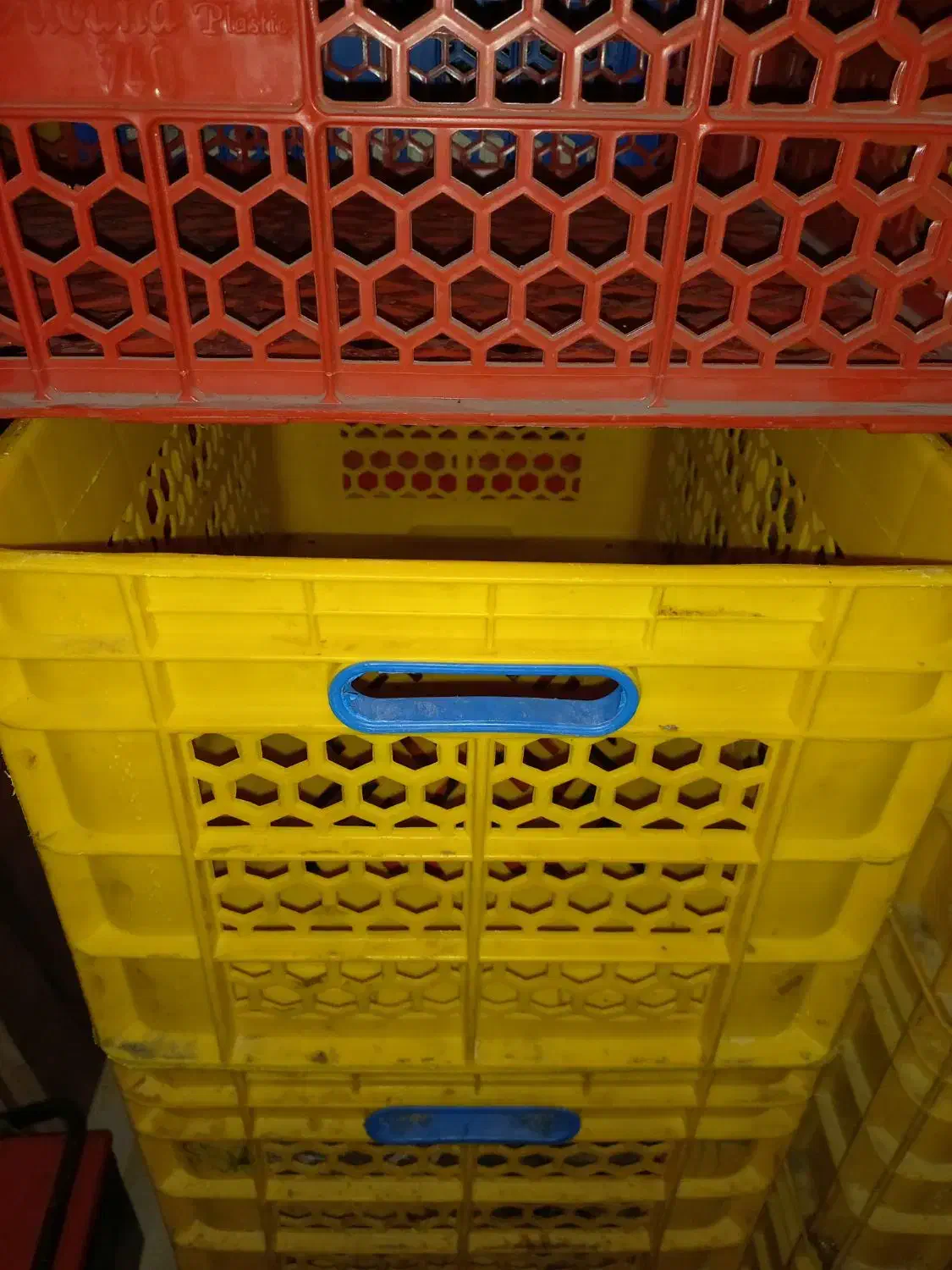 سبد پلاستیکی آشپزخانه‌ای صنعتی|ظروف نگهدارنده، پلاستیکی، یک‌بارمصرف|جم, |دیوار