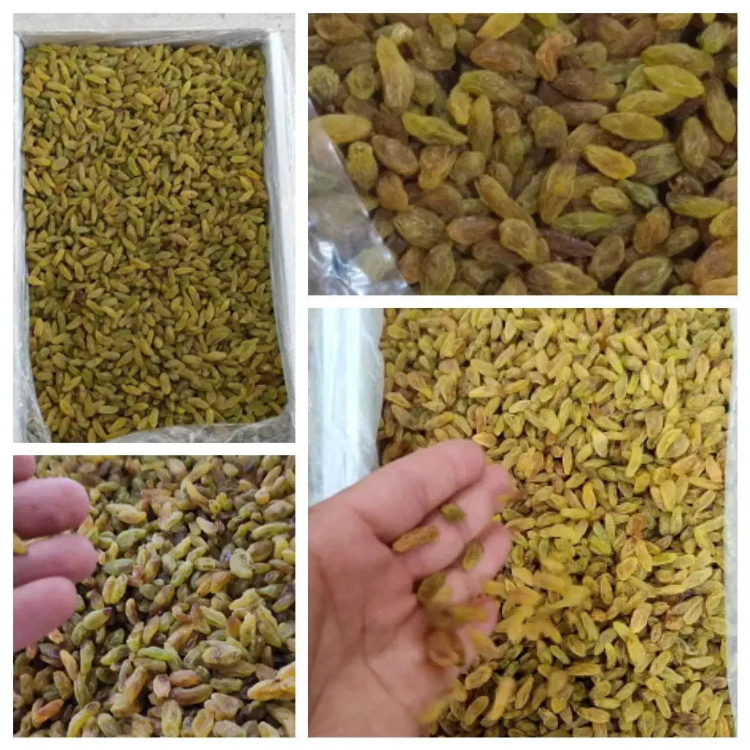 کشمش سبز کاشمر|خوردنی و آشامیدنی|ابریشم, |دیوار