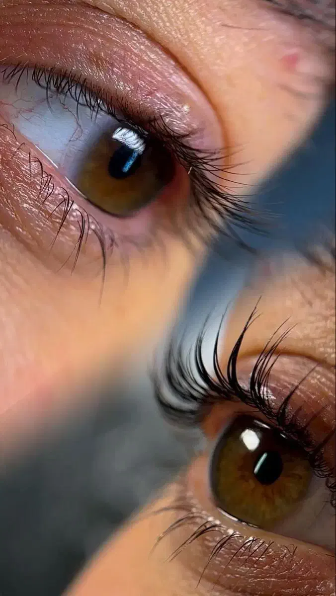 دوره آموزش آبان ماه لیفت مژه و ابرو|خدمات آموزشی|بم, |دیوار