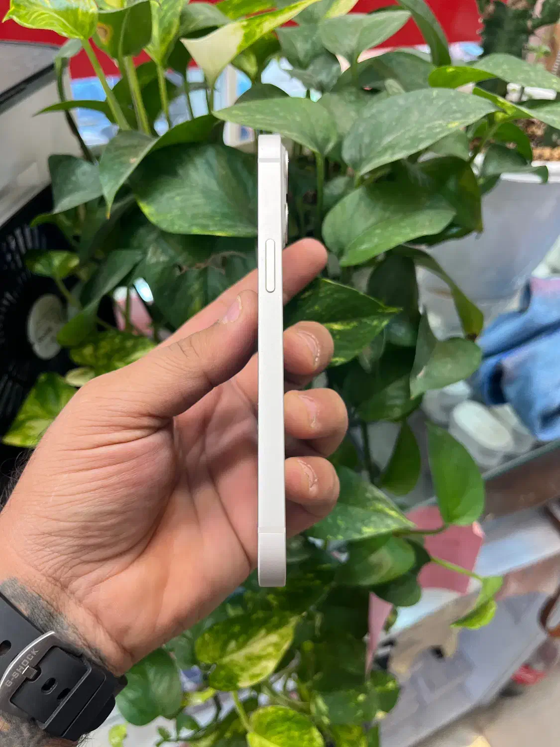 Iphone 13 cha|موبایل|شیراز, زند|دیوار