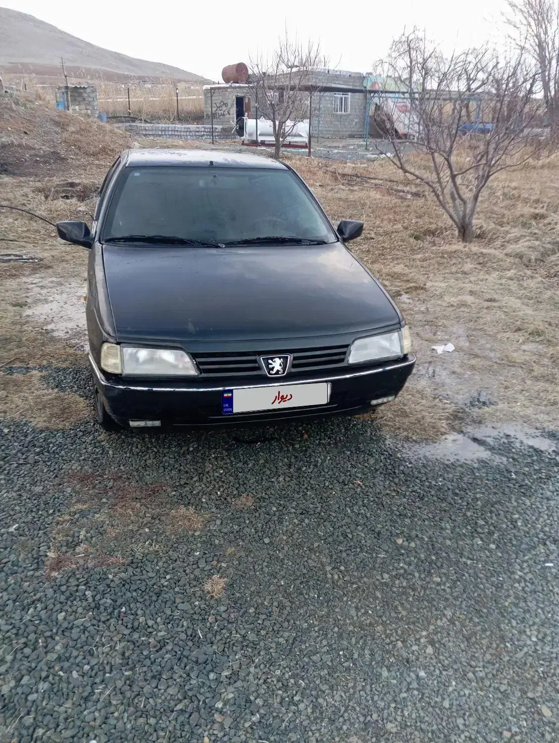 پژو2000دوگانه سوز cng|خودرو کلاسیک|سقز, |دیوار