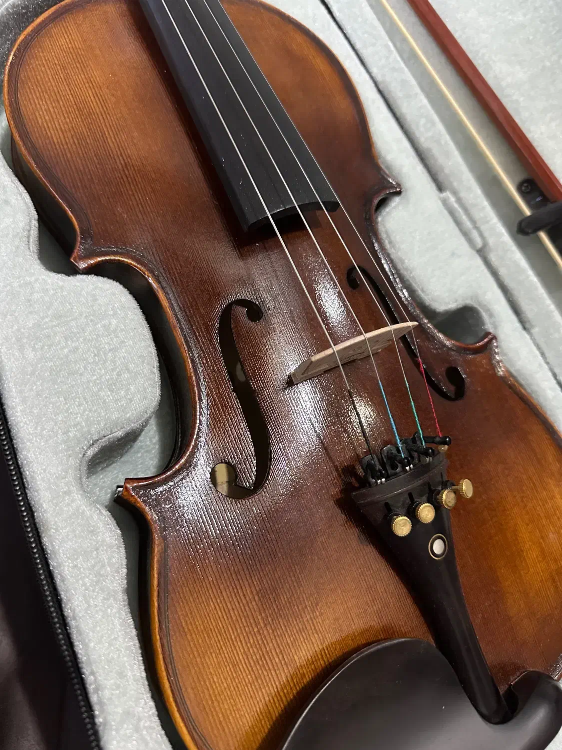 ویولون ۴/۴ ویوالدی|ویولن|مشهد, تربیت (صدف)|دیوار