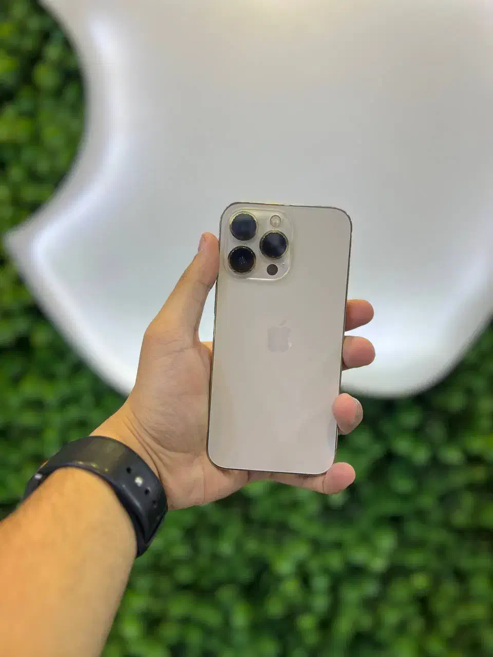 آیفون 13 پرو|موبایل|تهران, فلسطین (میدان انقلاب)|دیوار