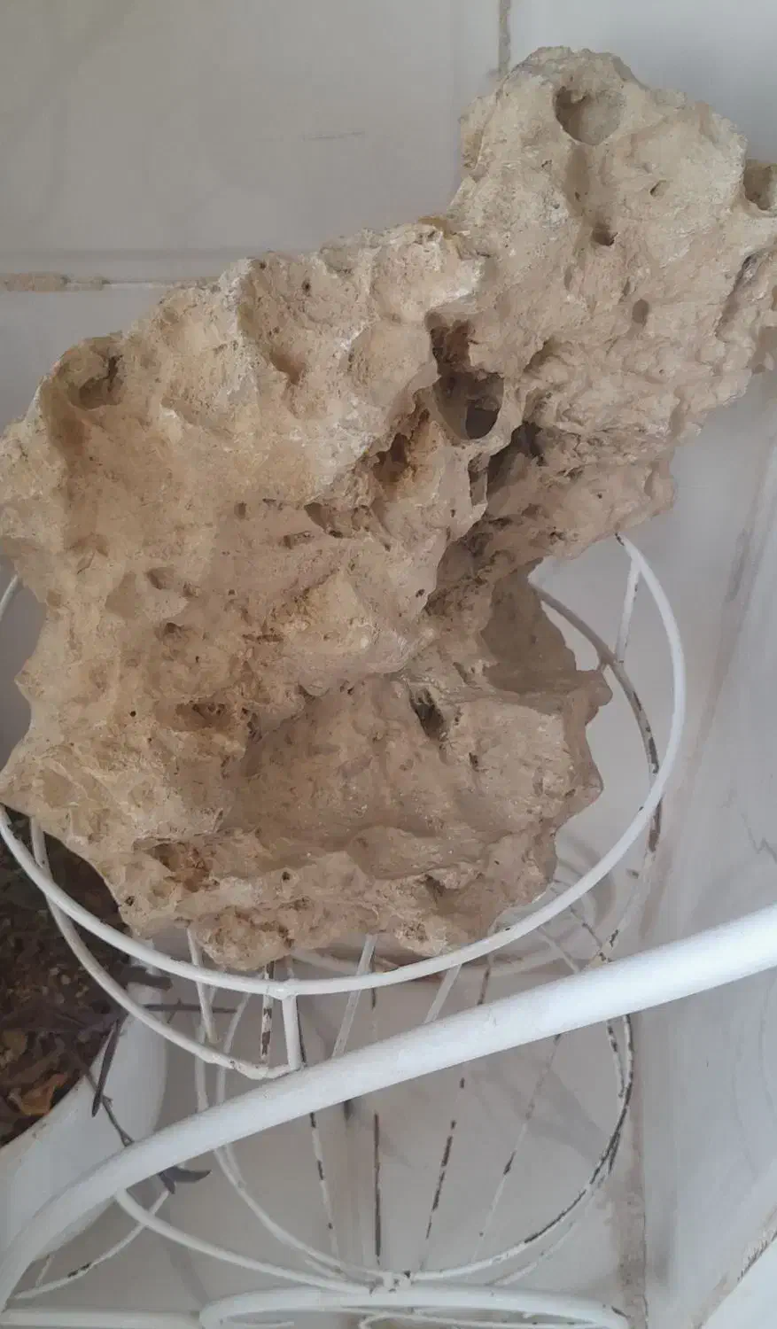 سنگ آکواریوم  سنگین|ماهی|قم, پردیسان|دیوار