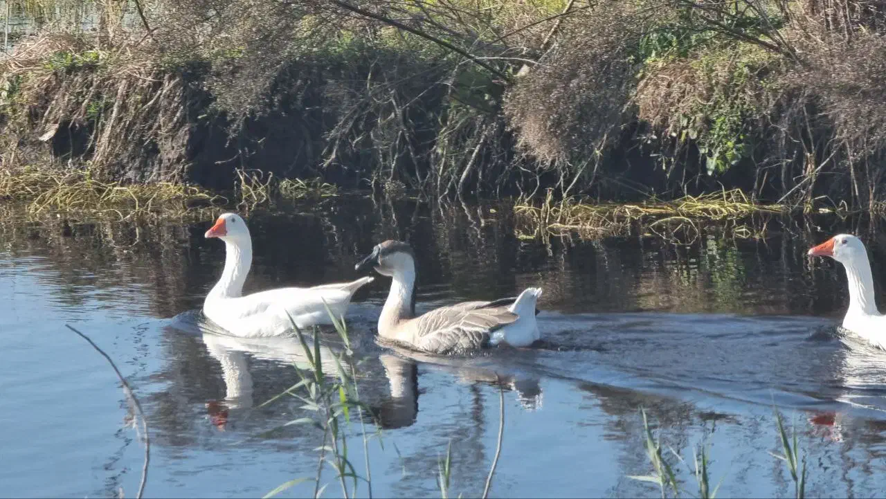 ویلا مبله با تسهیلات و شرایط|فروش خانه و ویلا|اشتهارد, |دیوار