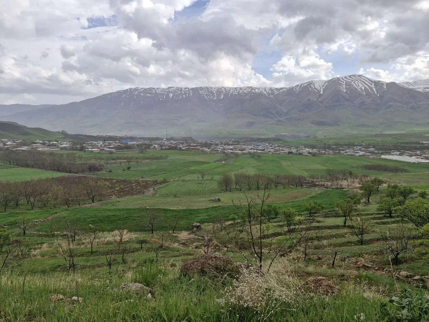 زمین مسکونی|فروش زمین و ملک کلنگی|اردل, |دیوار