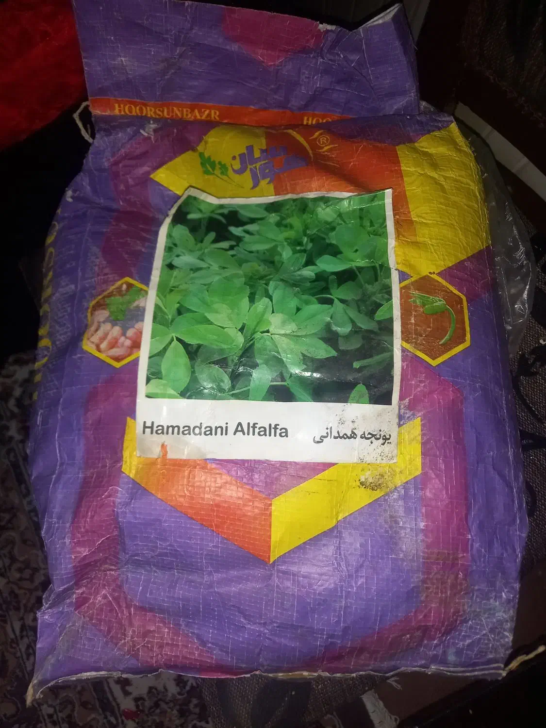 بذر یونجه|گل و گیاه طبیعی|دزفول, |دیوار