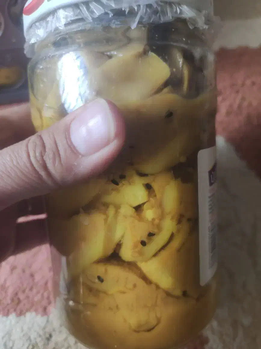 ترشی انبه|حراج|بندرعباس, |دیوار