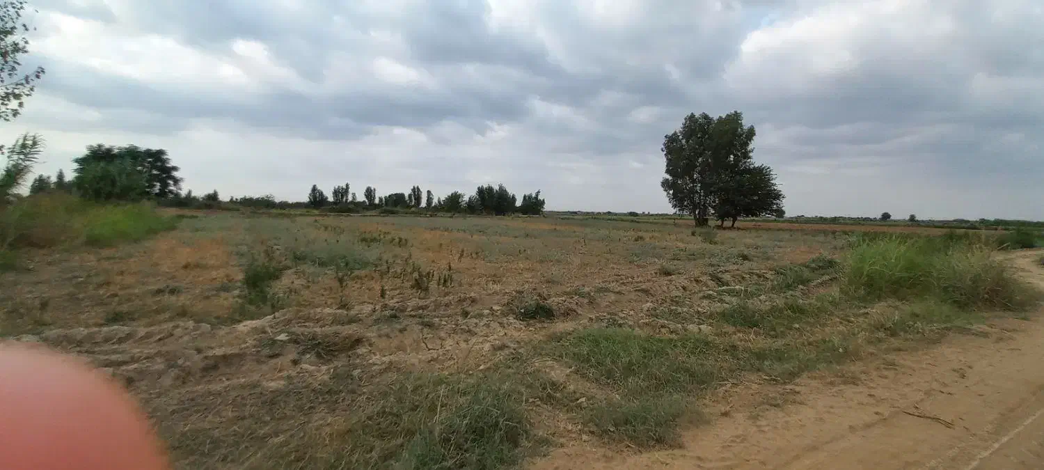 6هزار متر تورنگ تپه|فروش زمین و ملک کلنگی|سرخنکلاته, |دیوار