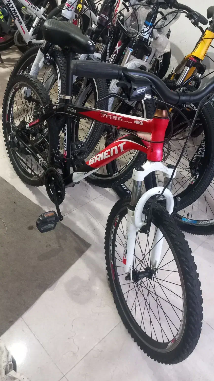 جاینت سایز ۲۴ کاملا سالم|دوچرخه، اسکیت، اسکوتر|نوشهر, |دیوار