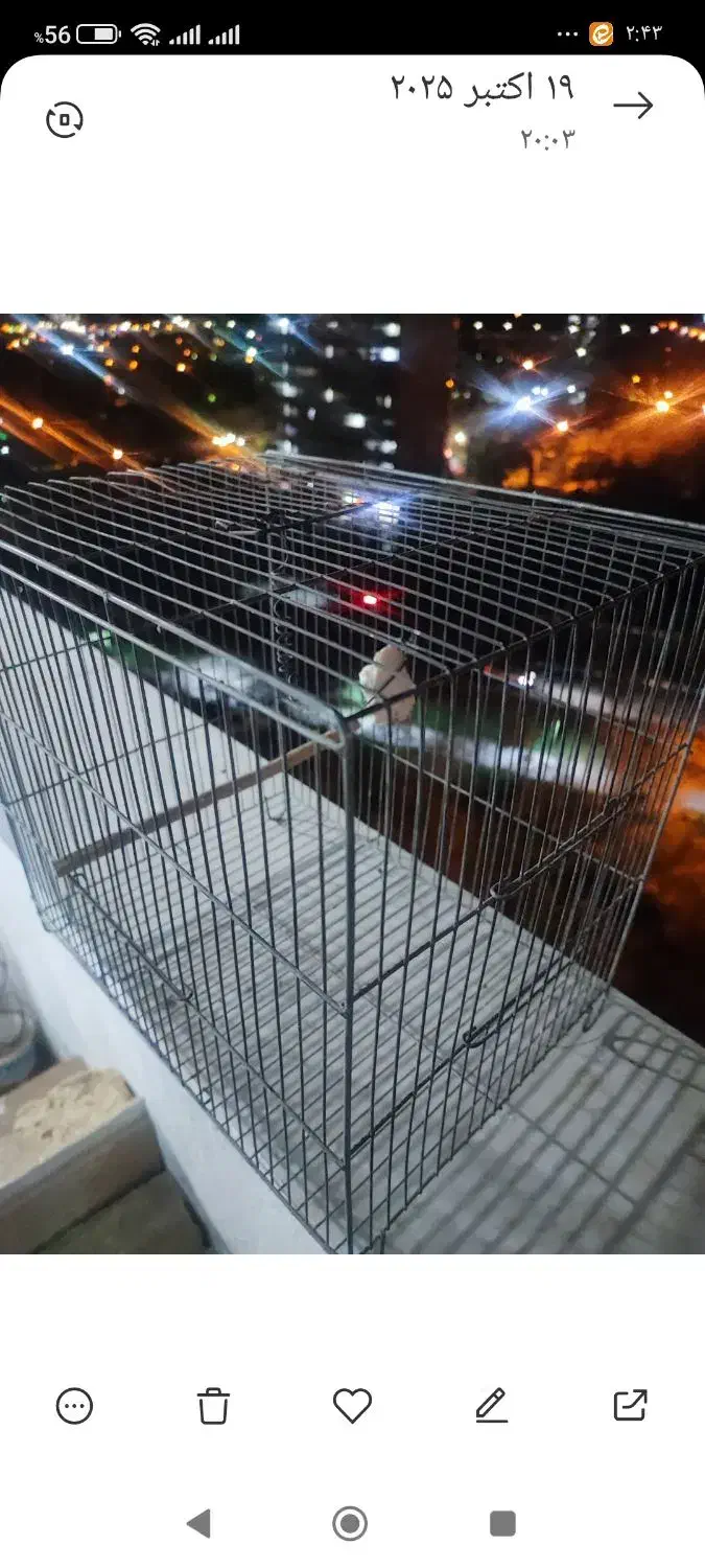 دو عدد قفس پرنده|لوازم جانبی حیوانات|فولادشهر, سایت صنعتی کاوه|دیوار