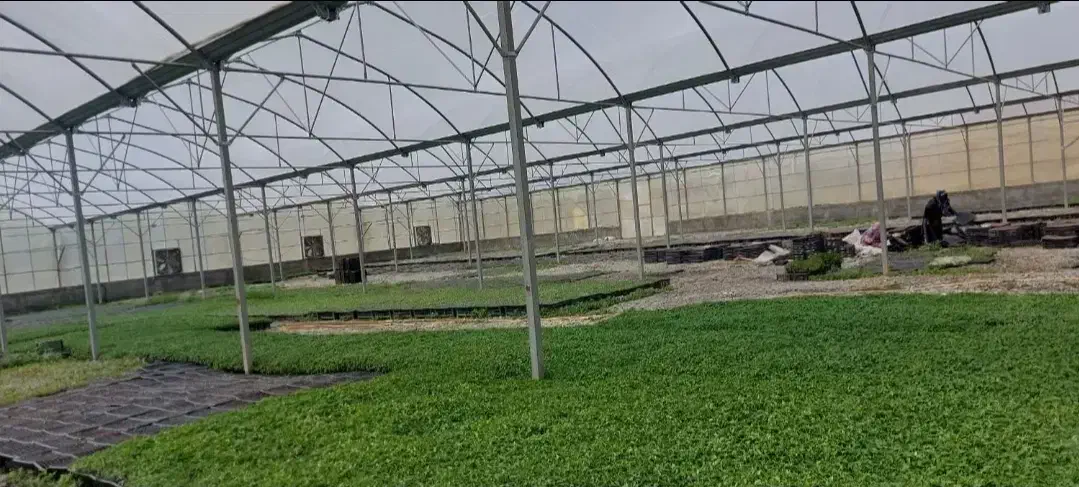 سازه گلخانه با تجهیزات کامل|عمده‌فروشی|مشهد, آیت الله کاشانی|دیوار