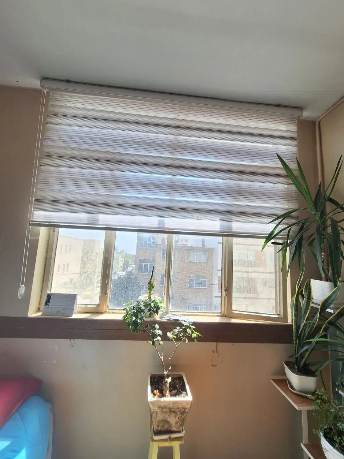 دو درگاه پرده زبرا|پرده، رانر، رومیزی|تهران, شهرک گلها (تهرانسر)|دیوار