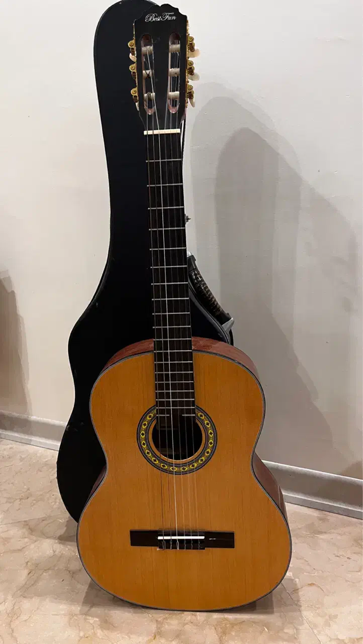 گیتار همراه با سافت کیس و پایه در حد نو|گیتار، بیس، امپلیفایر|تهران, سوهانک|دیوار