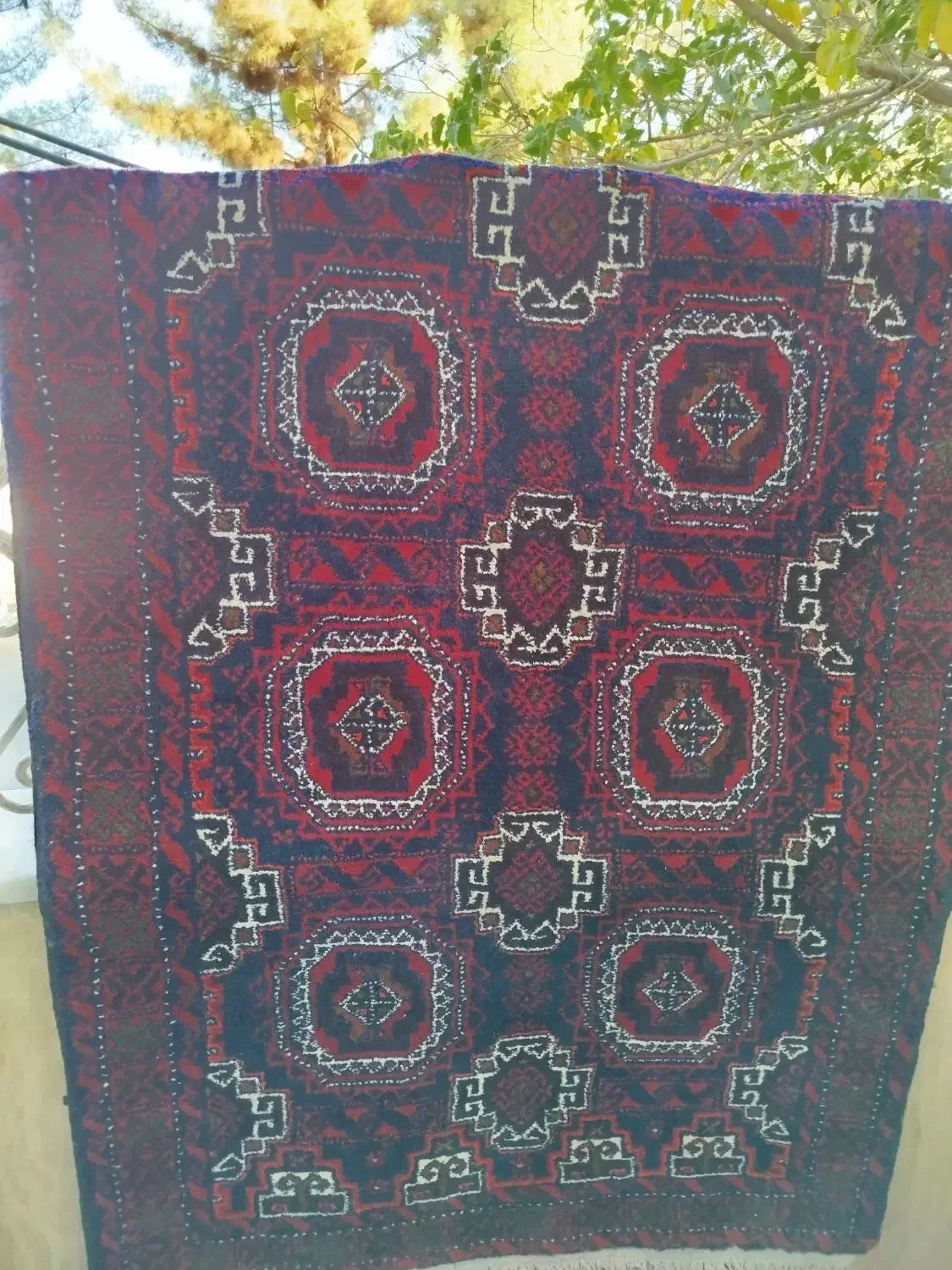 قالیچه دستبافت عشایری نو|فرش|بیرجند, |دیوار