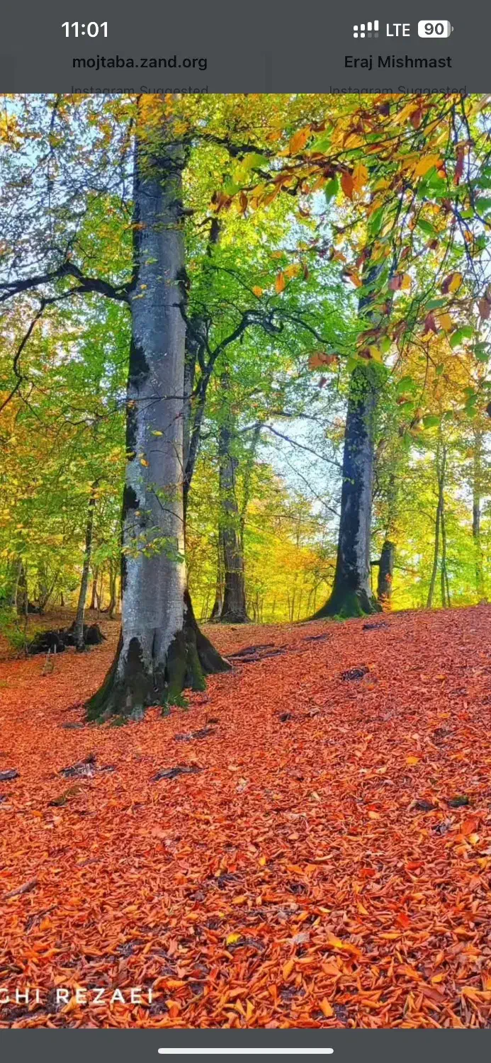 اپارتمان پیش فروش ۸۵ متری سعید اباد|پیشفروش املاک|باغستان, |دیوار