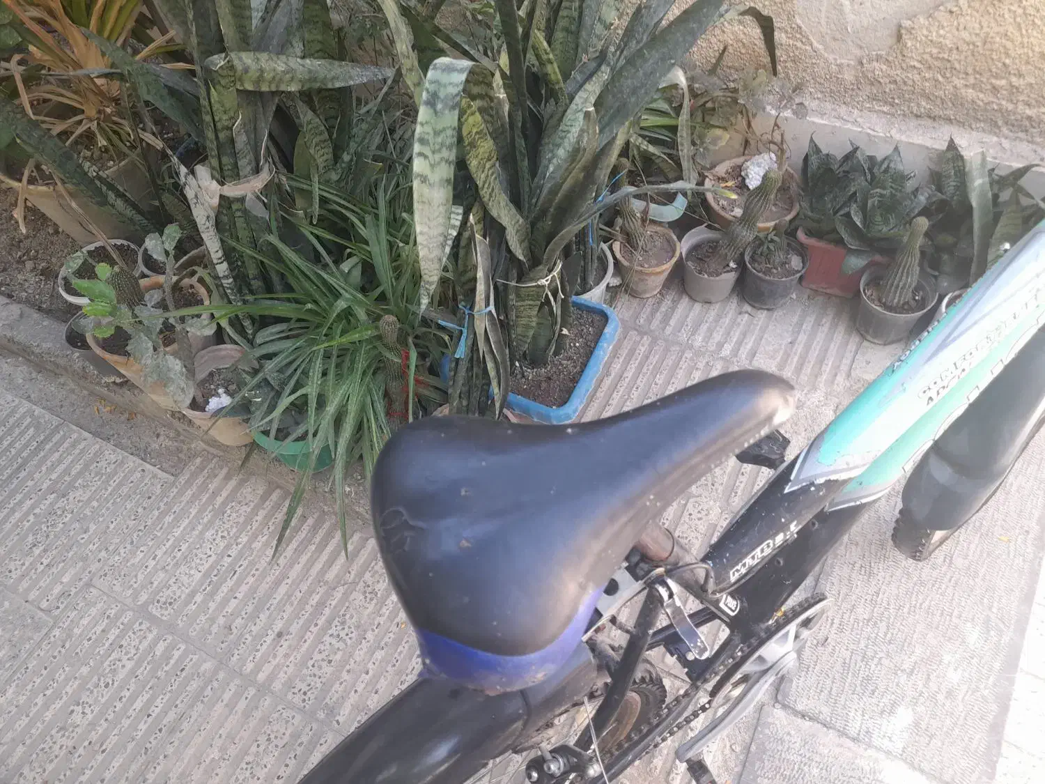 دوچرخه سبز مارک پلیس|دوچرخه، اسکیت، اسکوتر|فردیس, فردیس|دیوار