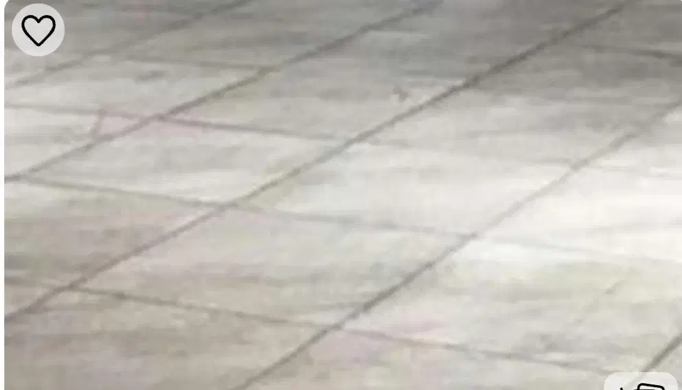 پارکینگ اجاره ای|اجارهٔ آپارتمان|قم, بنیاد|دیوار