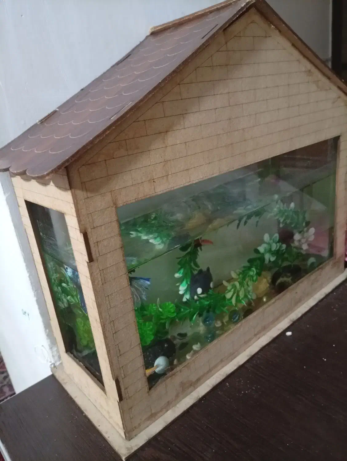 آکواریوم با ماهی|ماهی|شیراز, شاپورجان|دیوار