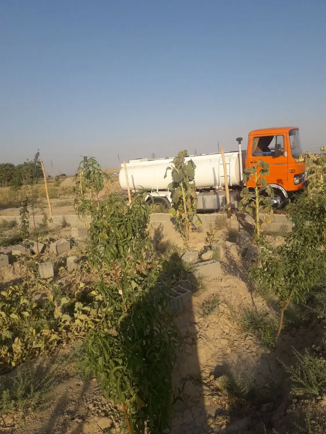 فروش باغچه نقلی|فروش زمین و ملک کلنگی|رباطکریم, شترخوار|دیوار