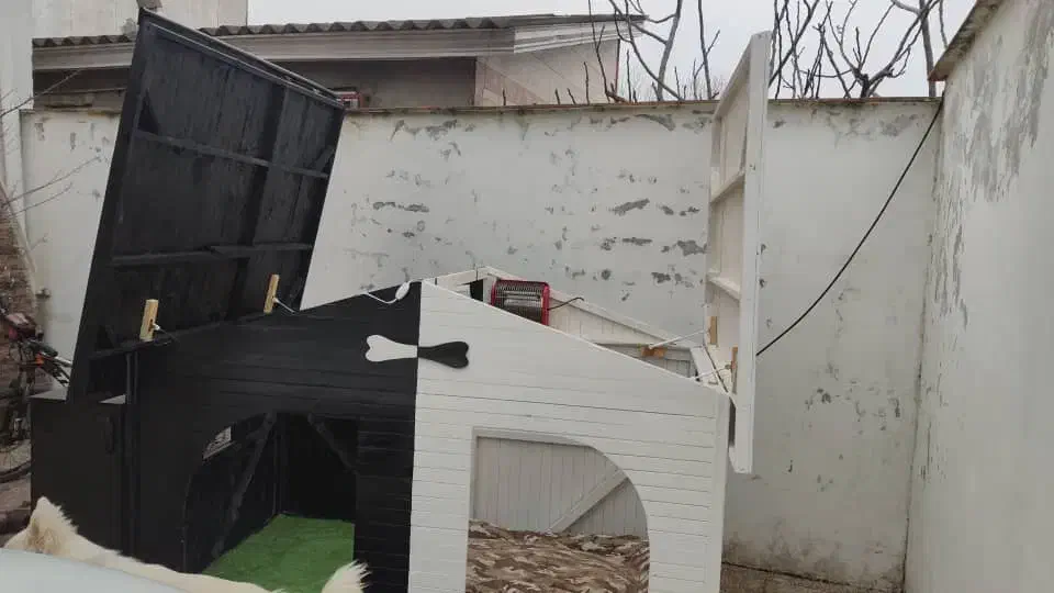 لانه ی سگ تمام چوب نراد روس و رنگ ماشین|لوازم جانبی حیوانات|محمودآباد, |دیوار