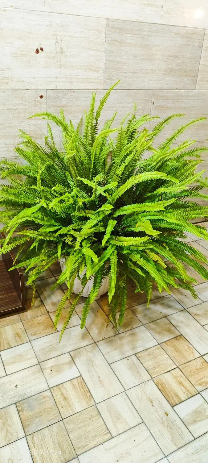 فروشنده تلفنی  و حضوری خانوم و آقا|استخدام بازاریابی و فروش|رشت, منظریه|دیوار