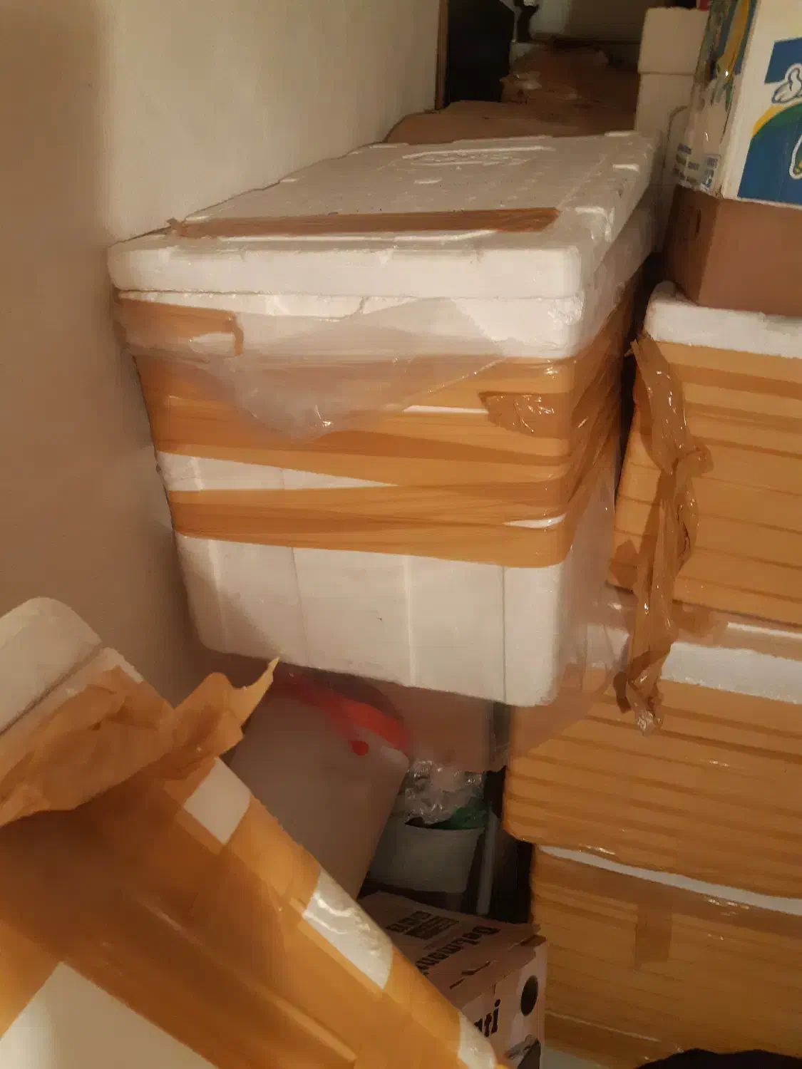 یخدان یونولیت سایز بزرگ|ظروف نگهدارنده، پلاستیکی، یکبارمصرف|کرج, عظیمیه|دیوار