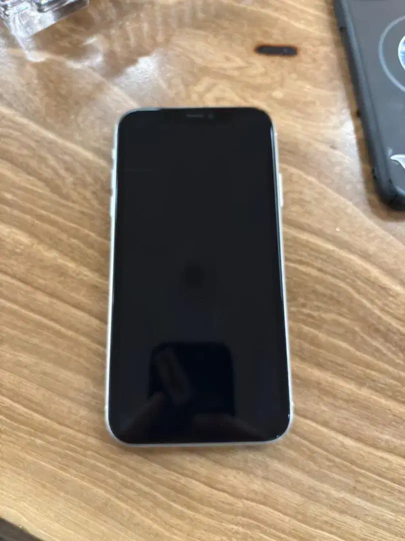 گوشی ایفون ۱۱ نرمال|موبایل|فردیس, فردیس|دیوار