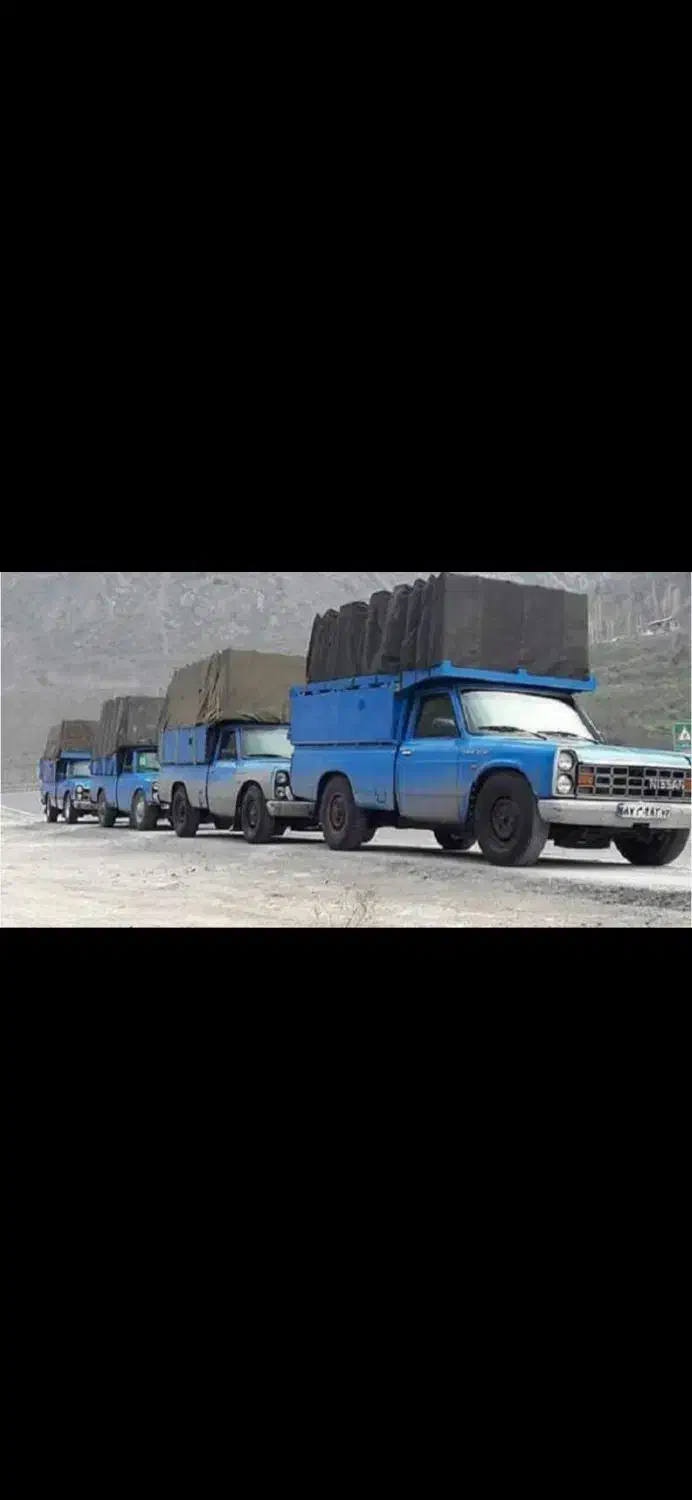 باربری و وانت بار قیمت مناسب|خدمات حمل و نقل|شیراز, شیخ علی چوپان|دیوار