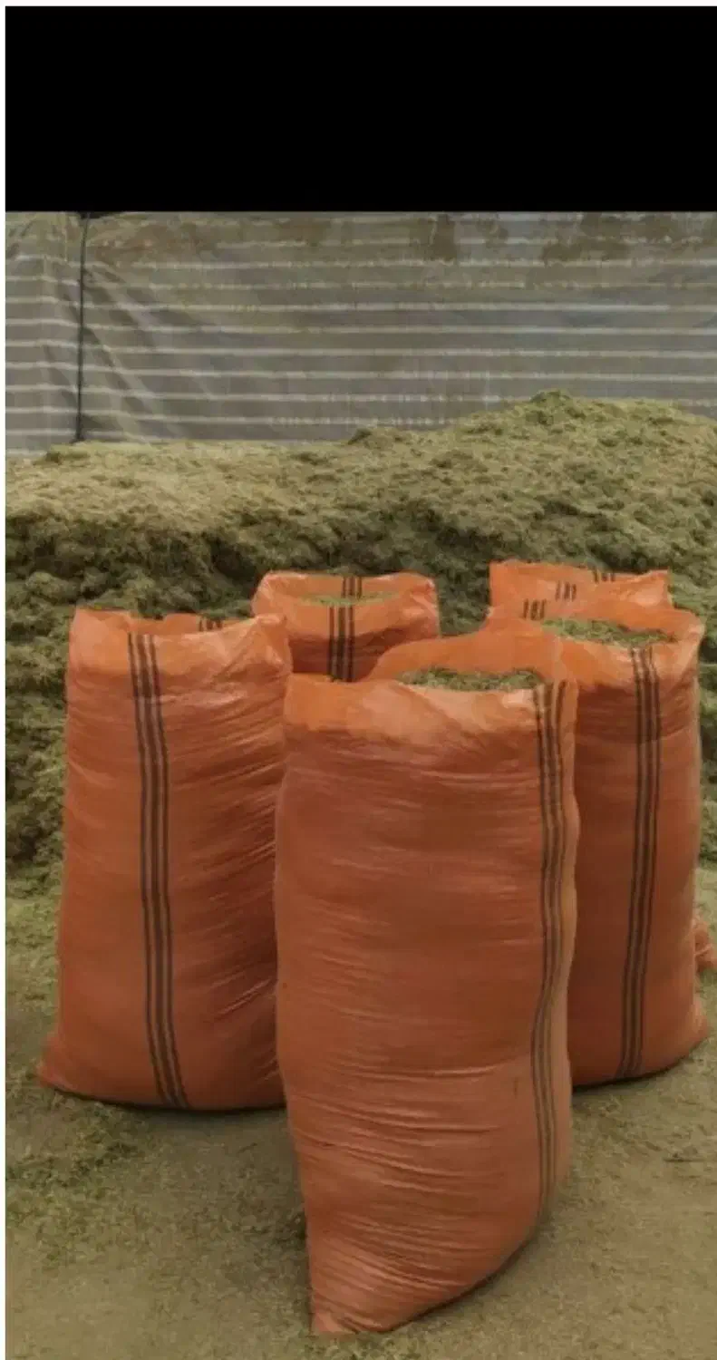 کاه ریز یونجه|حیوانات مزرعه|شیروان (خراسان), |دیوار