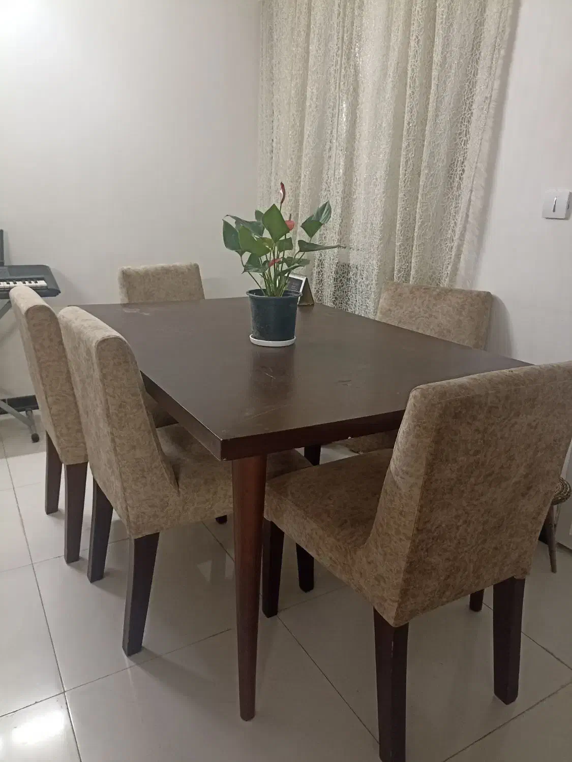 میز ناهارخوری|میز و صندلی غذاخوری|سمنان, |دیوار