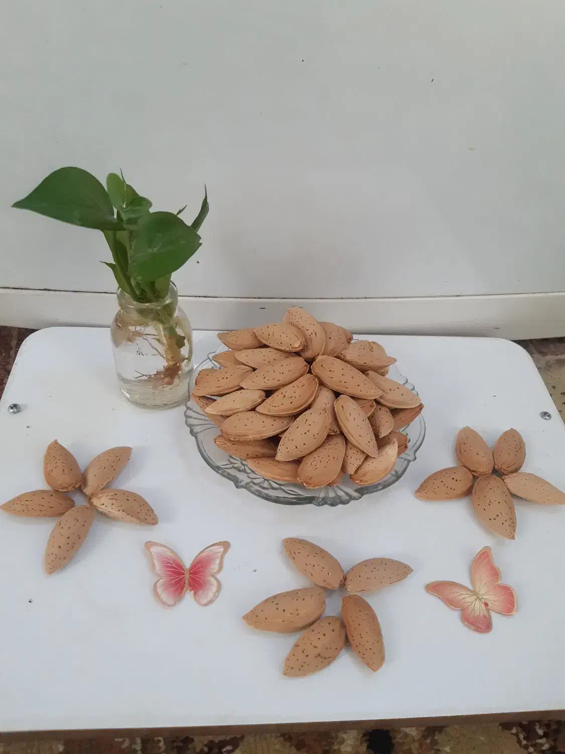 بادام سنگی تلخ|خوردنی و آشامیدنی|قم, چهار مردان|دیوار