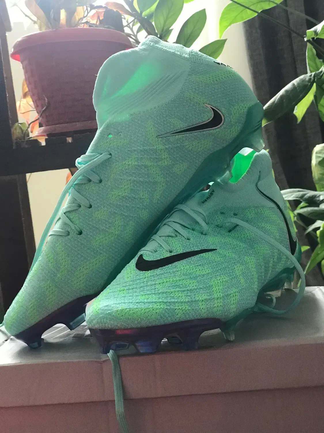 کفش فوتبال،استوک|کیف، کفش، کمربند|بجنورد, |دیوار