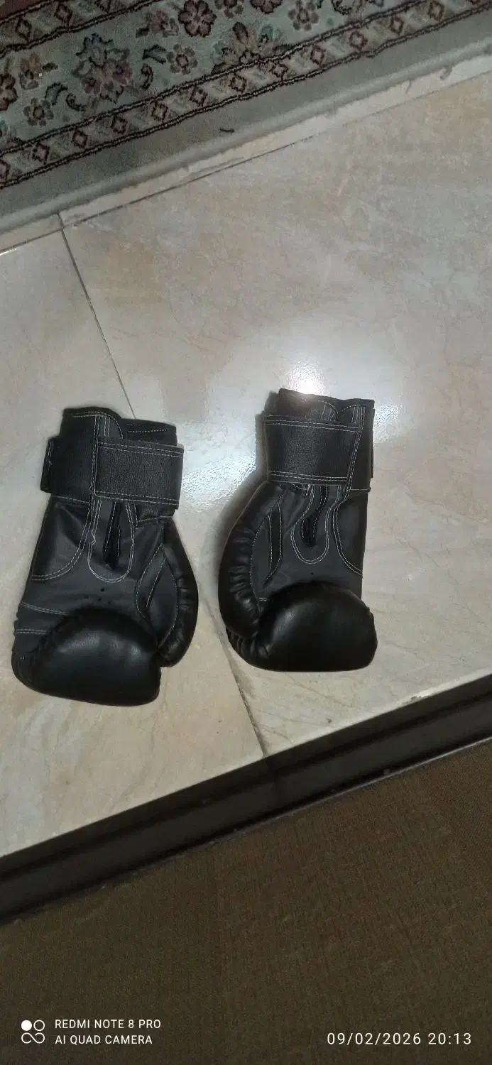 دستکش بوکس|تجهیزات ورزشی|فولادشهر, A1|دیوار