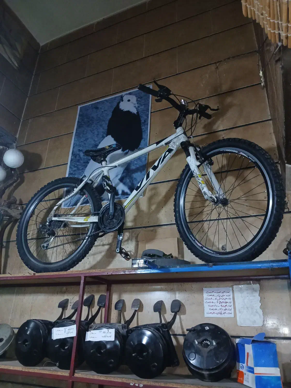 دوچرخه ۲۶|دوچرخه، اسکیت، اسکوتر|محمدیه-قزوین, |دیوار