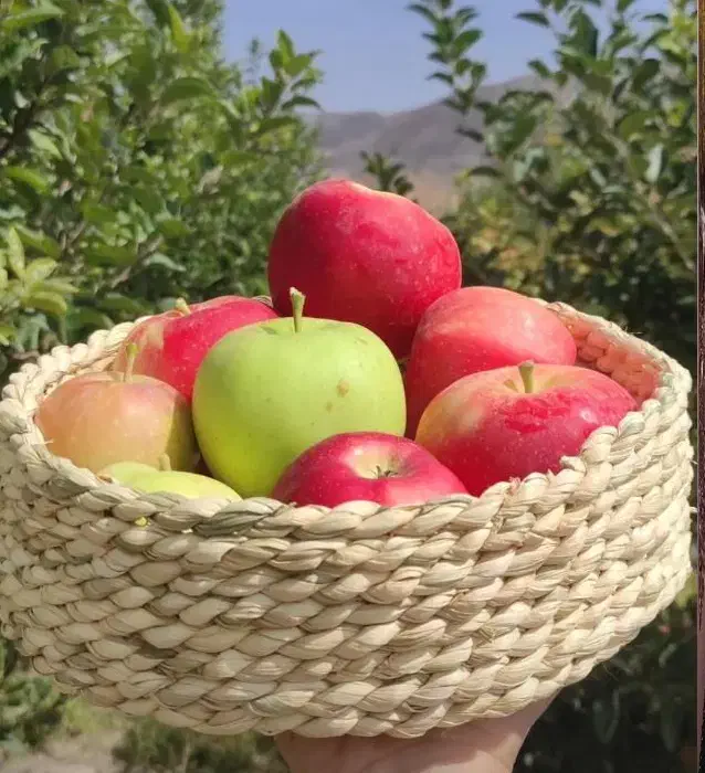 زیرقابلمه وزیر بشقابی وسبدمیوه وسبزی حصیری|ظروف سرو و پذیرایی|اراک, |دیوار