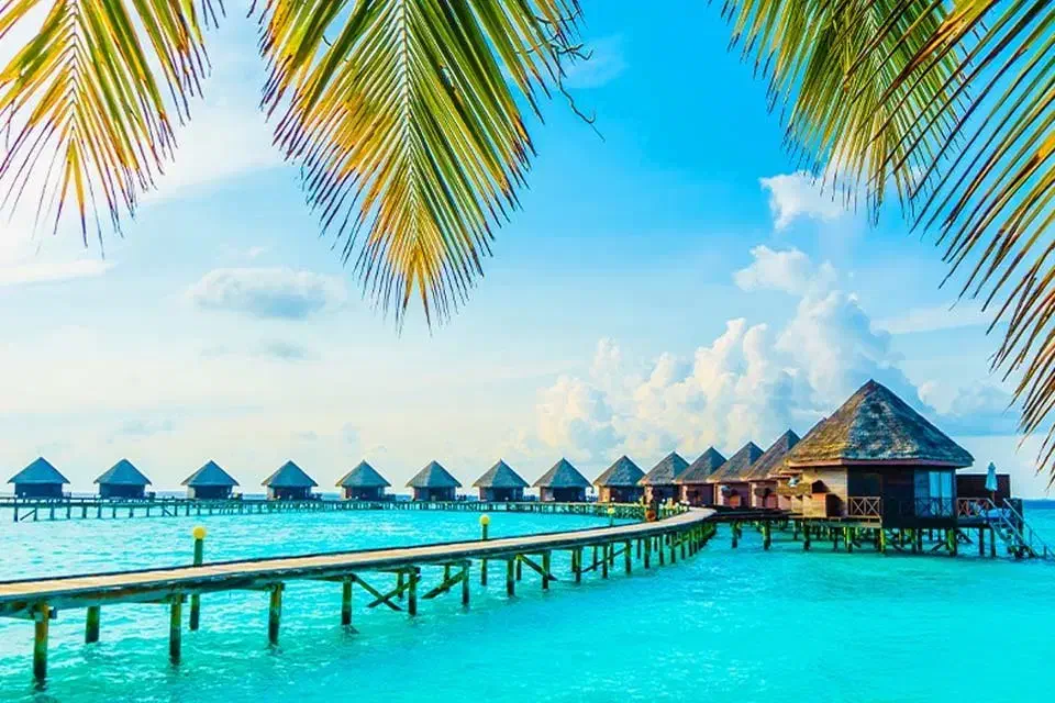 تور کیش|تور و چارتر|تهران, بلوار کشاورز|دیوار